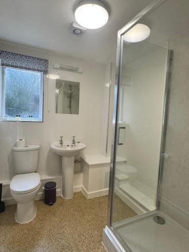 a bathroom with a toilet and a sink and a shower at Crown Hotel Cotswold in Blockley
