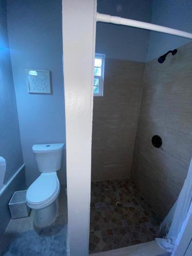 a bathroom with a toilet and a shower at Vee's Country Apartments in Micoud