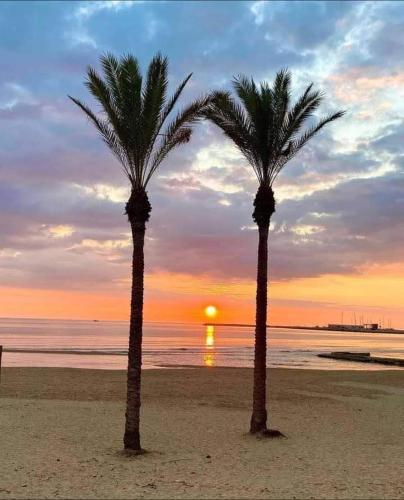 two palm trees on a beach with a sunset at Filuvespri in Comiso