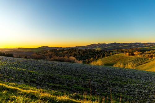 a field of crops with the sunset in the background at Borgo Il Poggio Agriturismo in Montaione