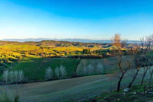 a view of a field with mountains in the background at Borgo Il Poggio Agriturismo in Montaione