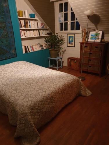 een slaapkamer met een bed en een boekenplank bij la balinade in Riantec