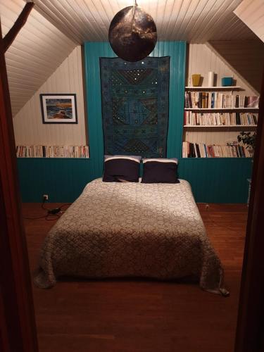 een slaapkamer met een bed en een boekenplank bij la balinade in Riantec