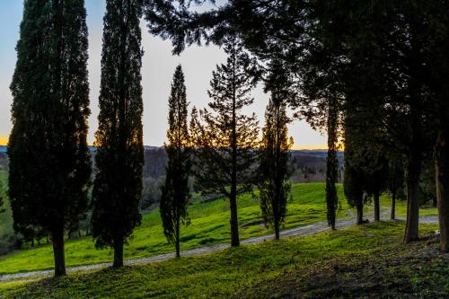 a path through a park with trees and grass at Borgo Il Poggio Agriturismo in Montaione