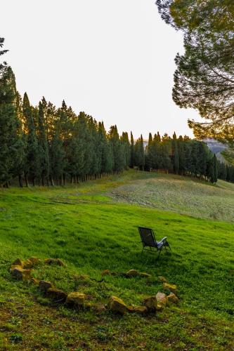 a bench sitting in the middle of a field at Borgo Il Poggio Agriturismo in Montaione