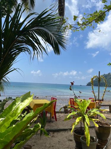 plaża z leżakami i roślinami oraz ocean w obiekcie Fiqthya Chalet & Cafe w mieście Tioman