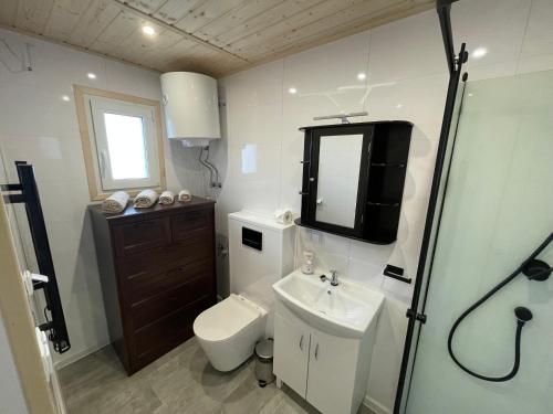 a bathroom with a sink and a toilet and a television at TinyHaus #3 Hülben - Ortsrand - kostenlose Parkplätze in Hülben