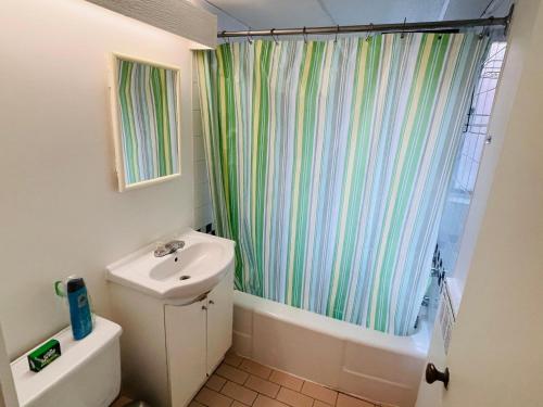 baño con lavabo y cortina de ducha en Stylish Montreal Apartment: Comfortable Stay in the Golden Square Mile, en Montreal