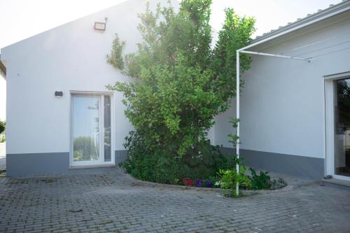 a white house with a tree on the side of it at Alojamento Moinho d`Óbidos in Óbidos