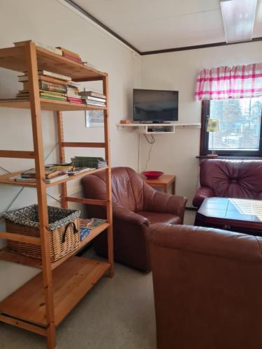 a living room with a couch and a book shelf at Bromölla Camping o Vandrarhem in Bromölla