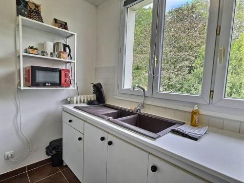 une cuisine avec un évier et deux fenêtres dans l'établissement L'Escapade Perchée*Disney*Paris*, à Pomponne