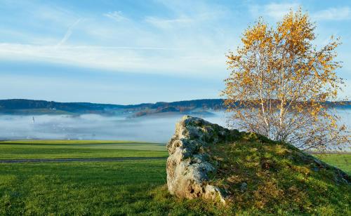 a rock in a field with a tree and fog at Gaestehaus Hofer in Bad Birnbach