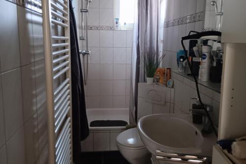Baño pequeño con aseo y lavamanos en Private Apartment Smoker, en Hannover