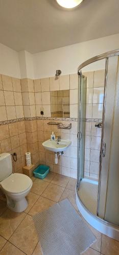 a bathroom with a shower and a toilet and a sink at Agroturystyka Willa Maria in Bystrzyca Kłodzka
