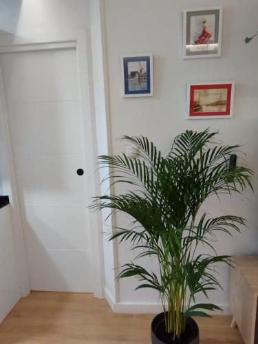 Apartamento La Carola