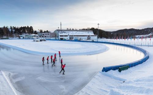 a group of people skating on a rink in the snow at Ferienwohnung Biene - Moosbachhof in Collalbo