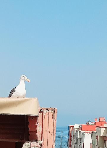 a bird sitting on top of a building at Appartement Vintage full équipé EL JADIDA in El Jadida