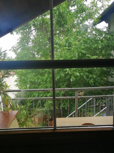 a window with a view of a tree at Atelieo beim Nussbaum in Ternitz