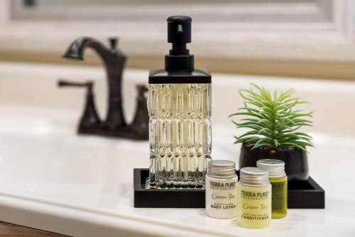 Billede fra billedgalleriet på Aqua Oasis - Central & Stylish - 3 BR / 3 BA i Greensboro