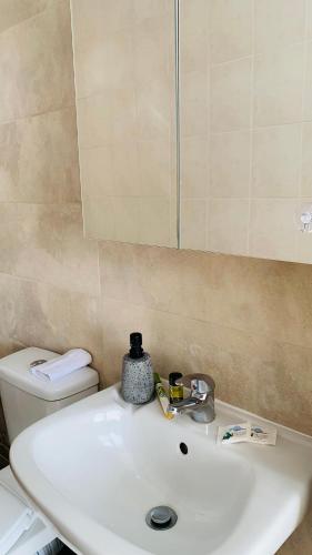uma casa de banho com um lavatório branco e um WC. em City view apartments 1 em Serres