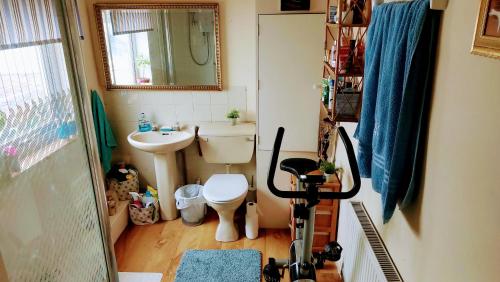 uma pequena casa de banho com WC e lavatório em Racecourse room in Cheltenham with bathroom access. em Cheltenham