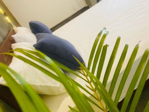 Una cama o camas en una habitación de Opal View Villa