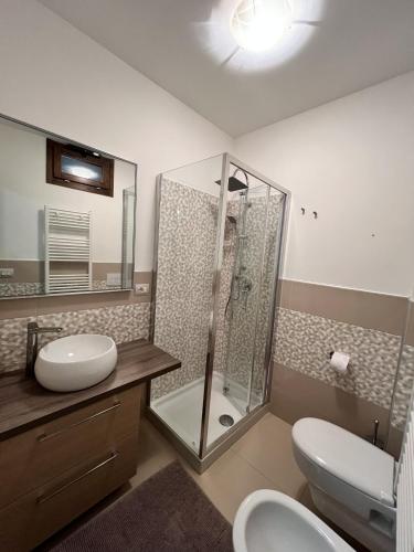 y baño con ducha, aseo y lavamanos. en Stanze Borgo Antico, en Montenero di Bisaccia