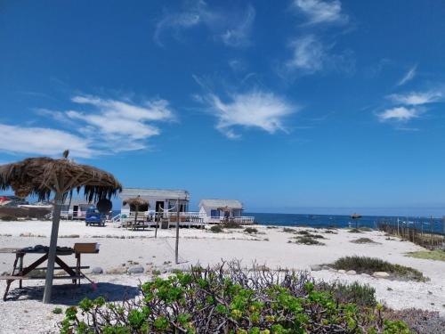 a beach with a straw umbrella and a bench at Refugio Humboldt in Punta de Choros