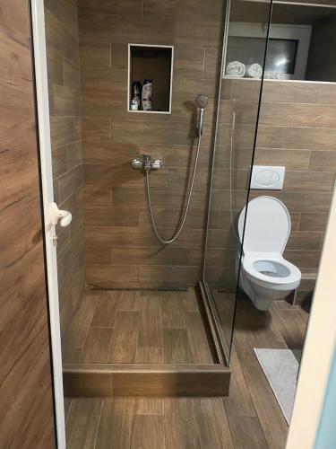 a bathroom with a shower with a toilet at Apartman Ivica in Pančevo