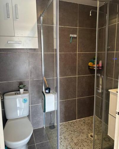 a bathroom with a toilet and a shower at Apartamento de 2 habitaciones Sant Andreu in Barcelona