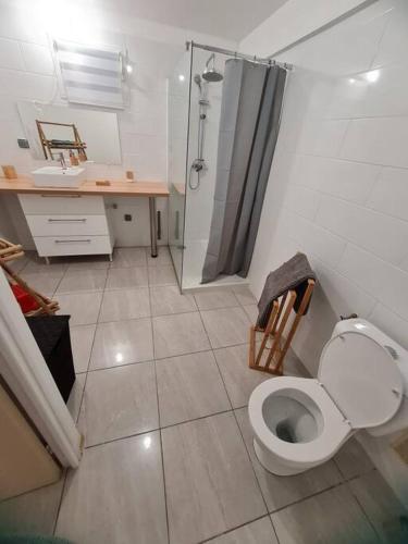 W łazience znajduje się toaleta, umywalka i prysznic. w obiekcie Chalet des laves w mieście Sainte-Rose