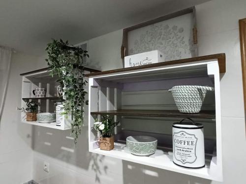 a shelf with plants and a can of coffee on it at Apartamento en Magic World. Nueva Marina Dor in Oropesa del Mar
