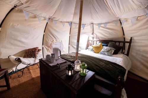 1 dormitorio con 1 cama en una tienda de campaña en Woodland View - Sleeps up to 2, double bed, en Dungarvan