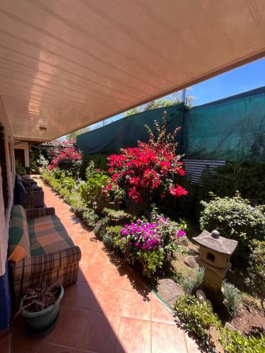 a patio with a bunch of plants and flowers at La Casa de Mamá Coyita in Cartago