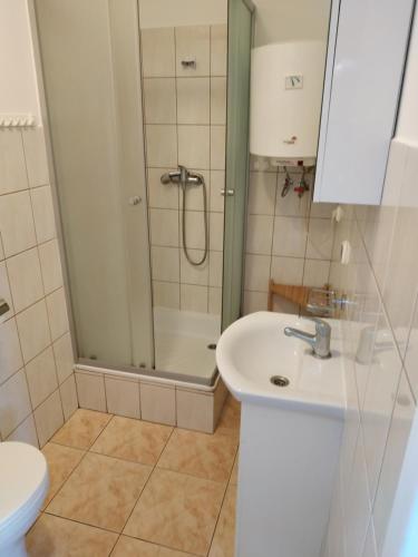 a bathroom with a shower and a sink and a toilet at Domek nad jeziorem Mazury Kobyłocha 13a in Szczytno
