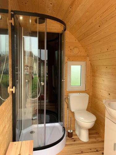 ein Badezimmer mit Dusche und Toilette in der Unterkunft La Ménardière in La Tour-Saint-Gelin