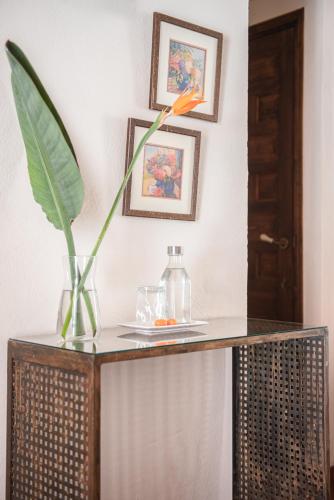 a table with a vase and a plant on it at El Secanet in Algimia de Alfara