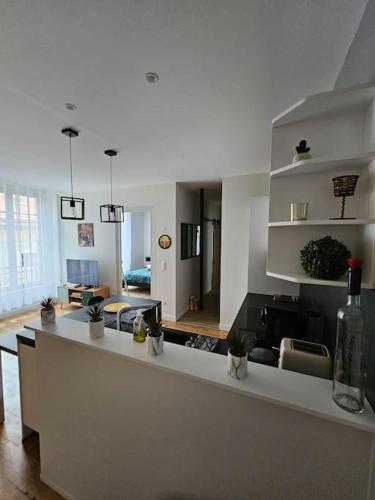 - un salon avec une cuisine dotée d'un comptoir dans l'établissement Urban Jungle - centre historique - calme absolu, à Pau