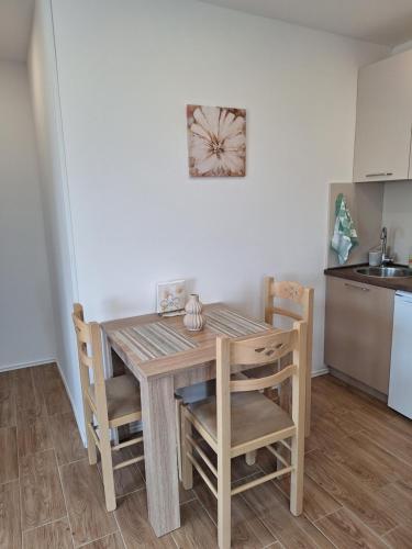 Η κουζίνα ή μικρή κουζίνα στο Rudovic Apartments