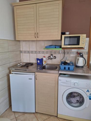Η κουζίνα ή μικρή κουζίνα στο Rudovic Apartments