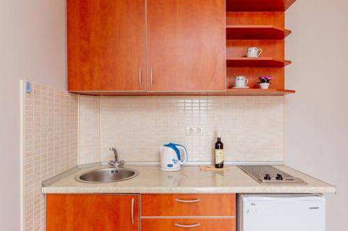 A kitchen or kitchenette at Apartments PERPER
