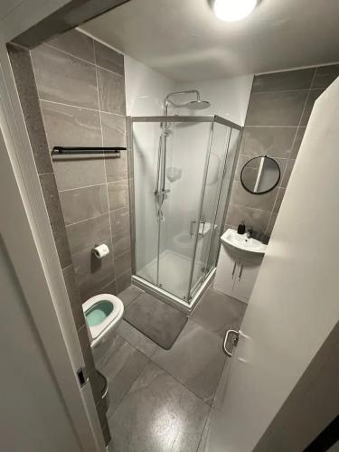 a bathroom with a shower and a toilet and a sink at Modern City Centre Apartment in Dublin