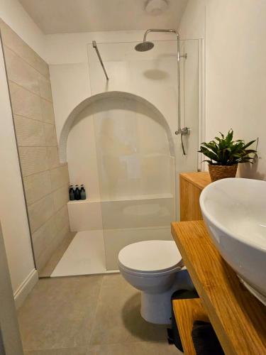 a bathroom with a shower and a toilet and a sink at Seaview 2 bedroom apartment in Littlehampton