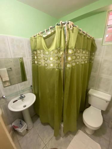 a bathroom with a green shower curtain and a toilet at Runway Inn in Bon Accord
