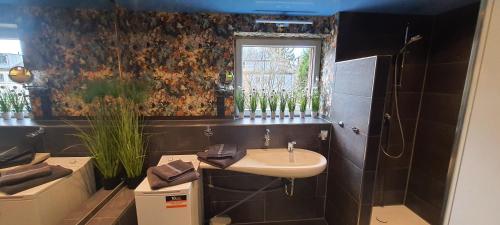La salle de bains est pourvue d'un lavabo et d'une fenêtre. dans l'établissement Small Lake Apartment, à Bergisch Gladbach