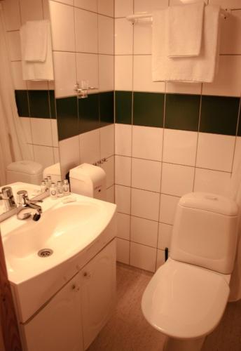 a bathroom with a white toilet and a sink at Rondane Haukliseter Fjellhotell in Høvringen