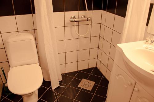 a bathroom with a white toilet and a sink at Rondane Haukliseter Fjellhotell in Høvringen