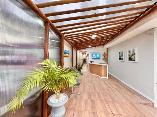 Un pasillo con plantas en macetas en un edificio. en POUSADA BEIRA MAR, en Fortaleza