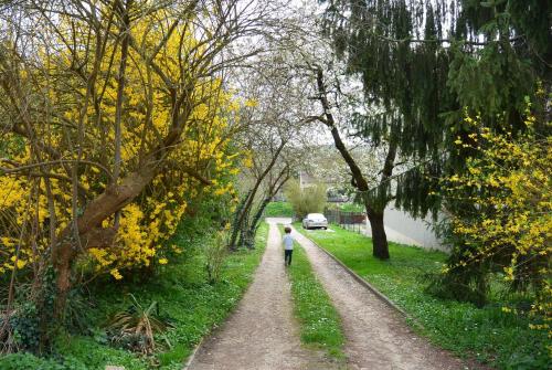 une personne marchant sur un chemin de terre avec des arbres jaunes dans l'établissement Appartement proche Sites Olympiques et Disneyland Paris, Bords de Marne, à Dampmart