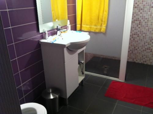 a bathroom with a sink and a toilet at Appartement proche Sites Olympiques et Disneyland Paris, Bords de Marne in Dampmart